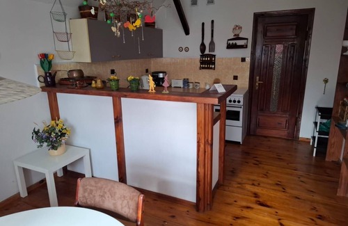 Szczytno Apartamento | Residence with the charm of picturesque home and sophisticated painting gallery