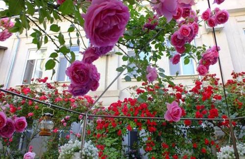 Braila Hotel | Residenza Dutzu-Boutique Hotel