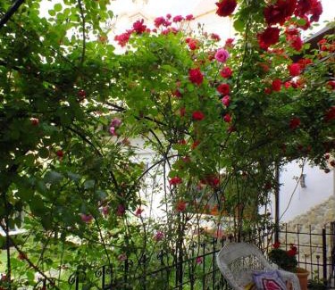 Braila Hotel | Residenza Dutzu-Boutique Hotel