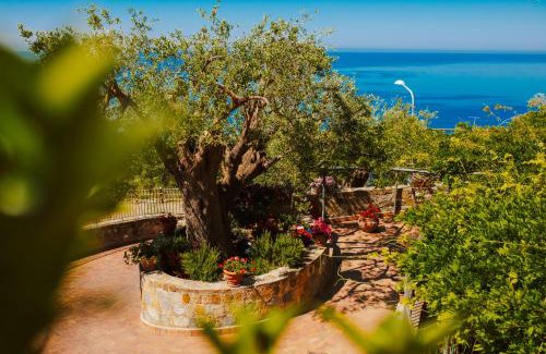 Caprioli Apartamento | Residenza Golfo Degli Ulivi
