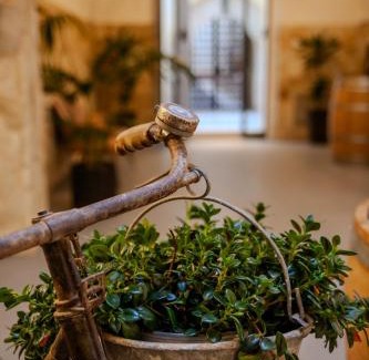 Marsala Casa | Residenza San Giovannello