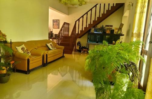 Kandy Cama Y Desayuno | Resort Beam