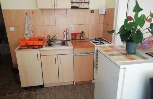 Herceg Novi Apartamento | Retro Apartment near to city center Herceg Novi