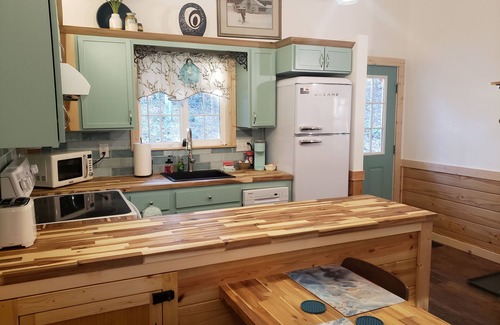 Frenchburg Cabina | Retro studio cabin in lovely Frenchburg with Hot Tub, WiFi and fire pit