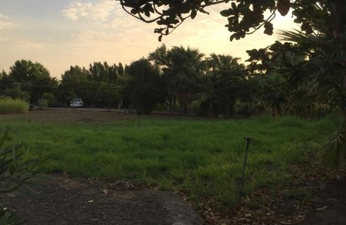 Sharjah Casa | Revaloo farm (Family Only)