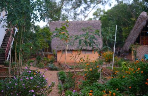 Auroville Casa | Reve living