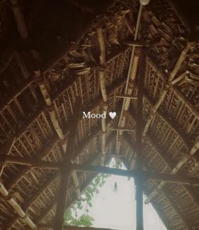 Auroville Casa | Reve living
