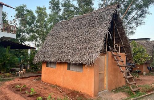 Auroville Casa | Reve living