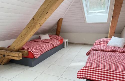 Luchsingen Apartamento | Revier Attika im Hazzo