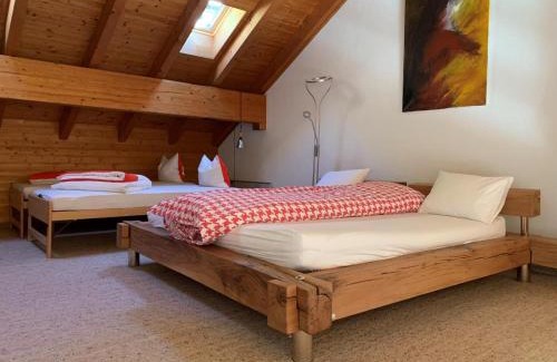 Braunwald Apartamento | Revier Silberwiidä-Galerie