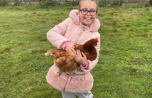 Seend Casa | Rew Farm Country & Equestrian Accommodation - Sunrise Lodge