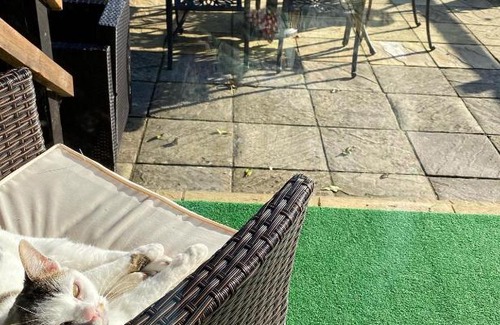 Seend Casa | Rew Farm Country & Equestrian Accommodation - Sunrise Lodge