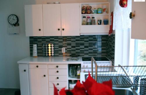 Reydarfjoerdur Apartamento | Reydarfjordur Apartment