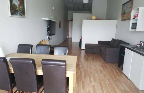 Grindavik Apartamento | Reykjanes Guesthouse