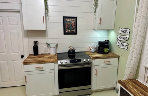 Old Southwest Apartamento | Reynard's Bliss - Historic Roanoke Apt Near Carilion & Downtown - Pet Friendly
