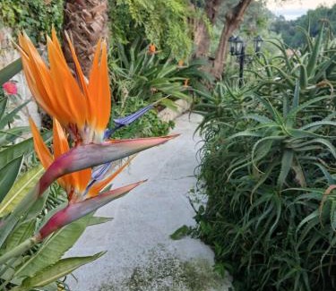 Menton Apartamento | Rez de villa avec piscine