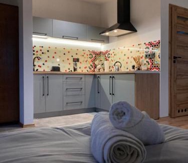 Dukla Apartamento | Rezydencja pod Cergową Wellness & SPA