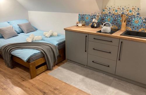 Dukla Apartamento | Rezydencja pod Cergową Wellness & SPA
