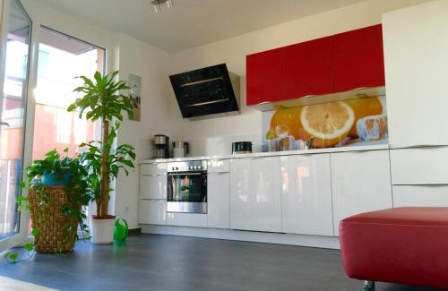 Petershausen-West Apartamento | Rhein Melodie riverview luxury