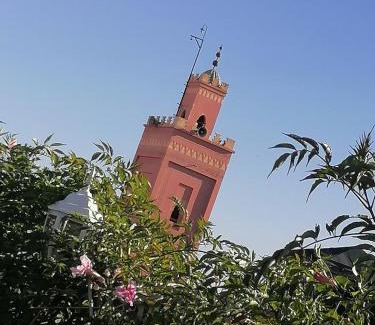 Zaouia Sidi Rhalem Casa | Riad DAR BARBI