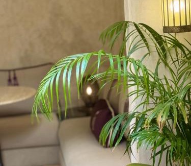 Riad Zitoun Jdid Casa | Riad Dar More