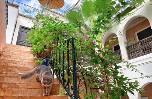 Mechouar-Kasbah Casa | Riad Rockech