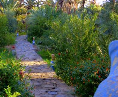 Amezrou Casa | Riad Tagmadarte Ferme d'Hôte