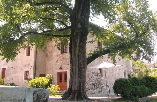 Strassoldo Casa | Pilería del Riso N° 79270