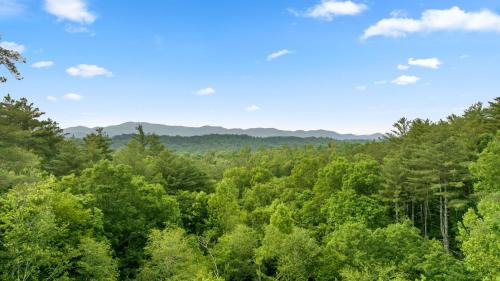 Ellijay Casa | Rich Mountain Chateau - Luxury Elegant Escape