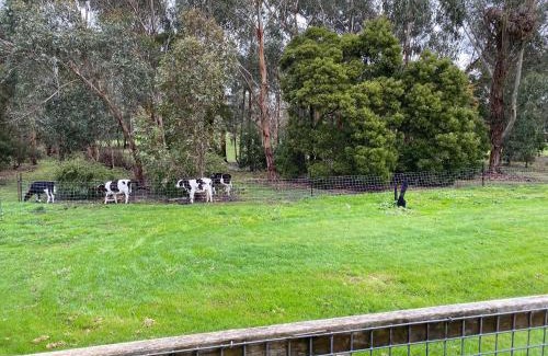 Cobden Apartamento | Richo’s Retreat, 1 bed unit near Great Ocean Road