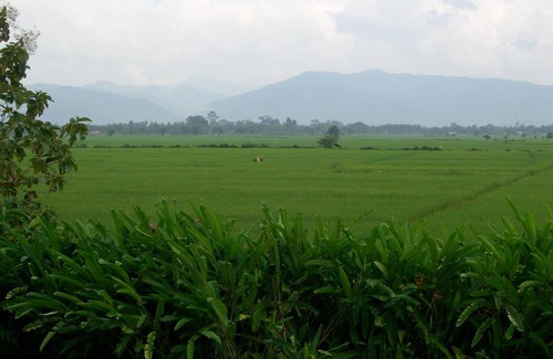 Chiang Kham Complejo | Rico Resort