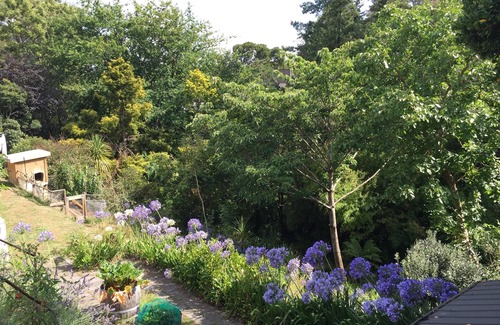 Havelock North Casa | Ridgetop Retreat set amongst Beautiful Trees