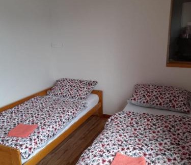 Ceske Budejovice Apartamento | Riegrova