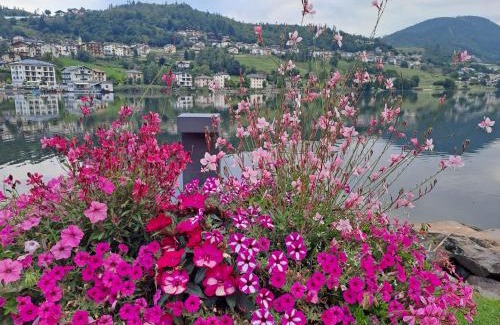 Baselga di Pine Apartamento | Riflessi sul lago