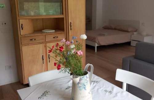 Baselga di Pine Apartamento | Riflessi sul lago