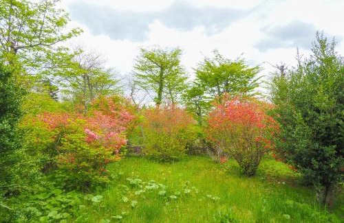 Yumoto Casa | Rigeru - Vacation STAY 11338
