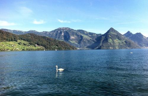 Buochs Casa | Rigiblick am See