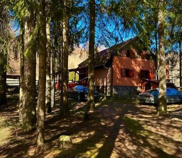 Varsag Casa | Riksberg Chalet in Harghita Mountains