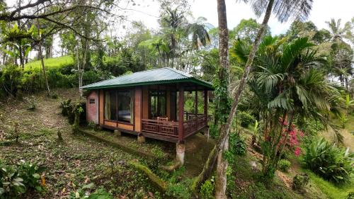 Tomohon Cabina | Rimba eco Resort