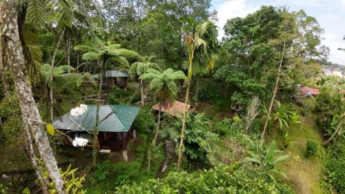 Tomohon Cabina | Rimba eco Resort