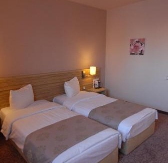 Otopeni Hotel | RIN Airport Hotel
