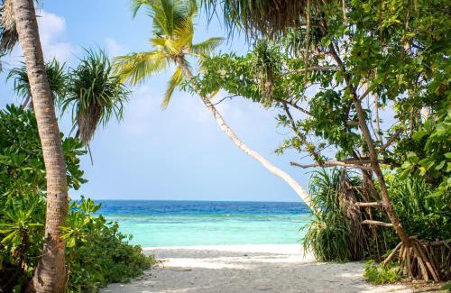 Omadhoo Casa | Rin'dha Retreats
