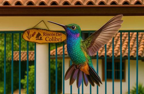 La Vega Casa | Rincón del colibrí/casa campestre/piscina/la vega