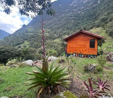 Choachi Cama Y Desayuno | Rincón Entre Piedras-Cabaña Entre Montañas