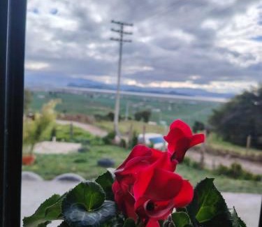 Aquitania Casa | Rinconcito campesino