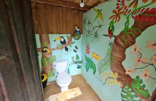 Bahía Drake Apartamento | Rio Agujitas Eco jungle - Island and Corcovado tours