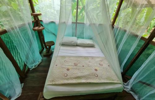 Bahía Drake Apartamento | Rio Agujitas Eco jungle - Island and Corcovado tours