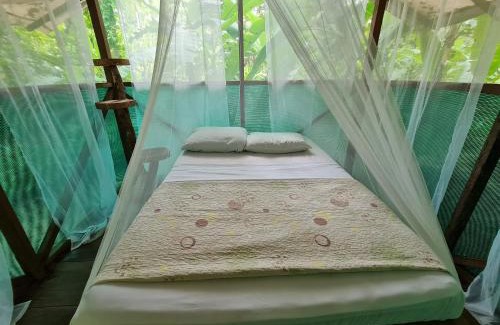 Bahía Drake Apartamento | Rio Agujitas Eco jungle - Island and Corcovado tours