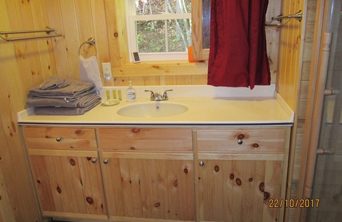 Roan Mountain Casa | Apartamento estudio Ripshin Mountain