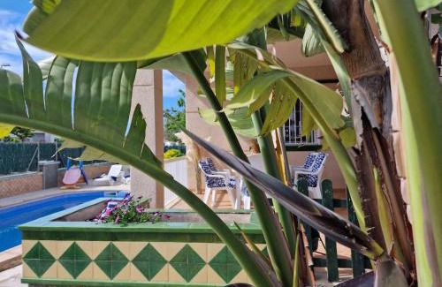 Riumar Casa | Riumar "Angeles", 210m to beach, private pool, On-Site-Service, dog beach